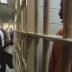 LOCK-UP: THE PRISONERS OF RIKERS ISLAND